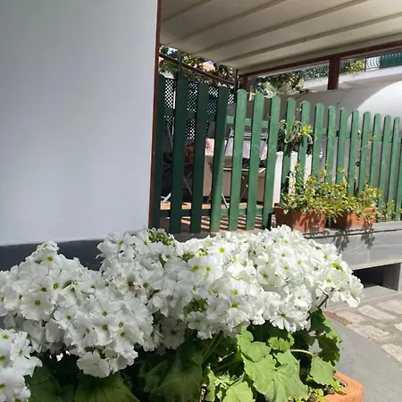 Enjoy 公寓 索伦托