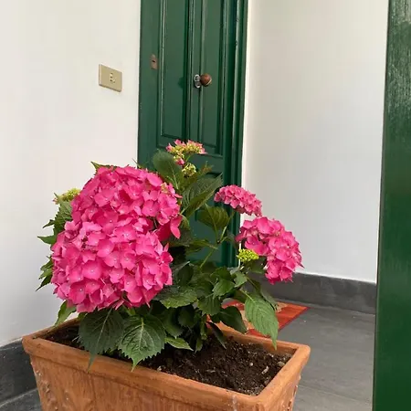 Apartment Enjoy Sorrento